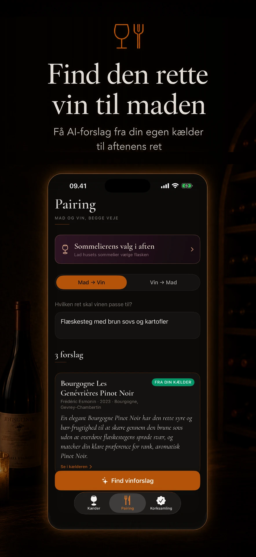 Coco Vino madpairing med forslag fra din egen vinkælder