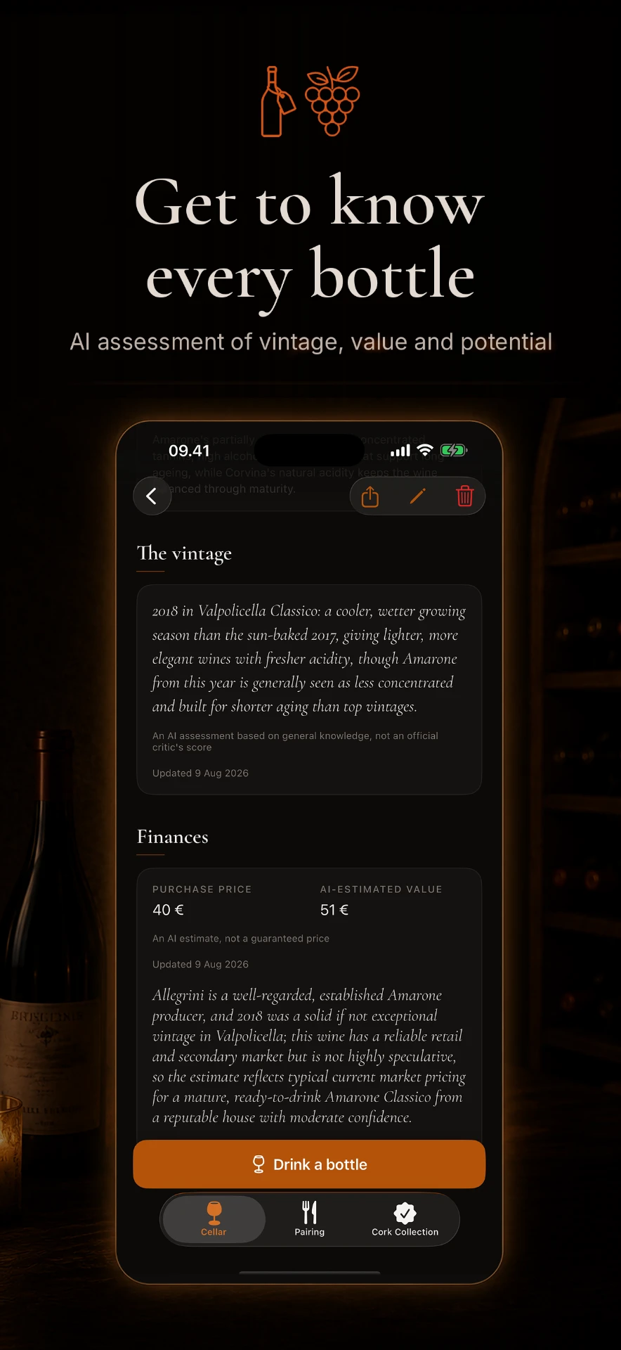 Coco Vino vintage and value assessment for a bottle
